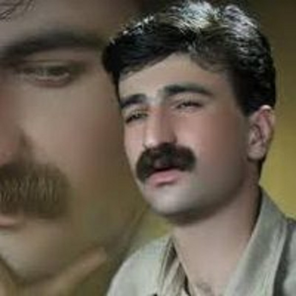 دانلود آهنگ گولی ارغوان حمید حمیدی